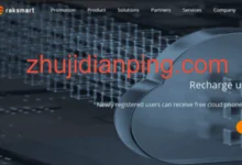 #黑五# raksmart：独立服务器$30/月起秒杀，多C站群/DDoS高防/40G大带宽，可选-香港/日本/韩国/新加坡/美国/德国-主机点评