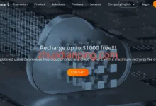 raksmart：便宜日本服务器（物理机），$99/月，大陆优化50M带宽，不限流量-主机点评