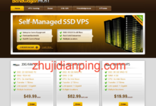 Bandwagonhost荷兰CN2 GIA年付VPS,仅$36.36/年,1核/1GB内存/20GB硬盘/1TB流量@2.5Gbps带宽-主机点评