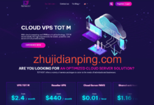 越南VPS：tothost，$28/年，512M内存/1核/8gSSD/100M带宽/不限流量-主机点评