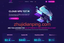 越南VPS：tothost，$28/年，512M内存/1核/8gSSD/100M带宽/不限流量-主机点评