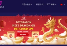 tothost越南VPS：龙年新春促销限时68折，原生IP/100M带宽/不限流量/免费IPv6-主机点评