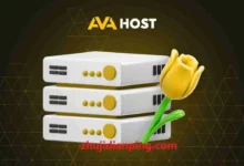 Ava.Hosting国际妇女节特惠,全场8%优惠,摩尔多瓦抗投诉VPS/独服,€4.6/月起,1核/2GB内存/25GB NVMe/不限流量@1Gbps带宽-主机点评