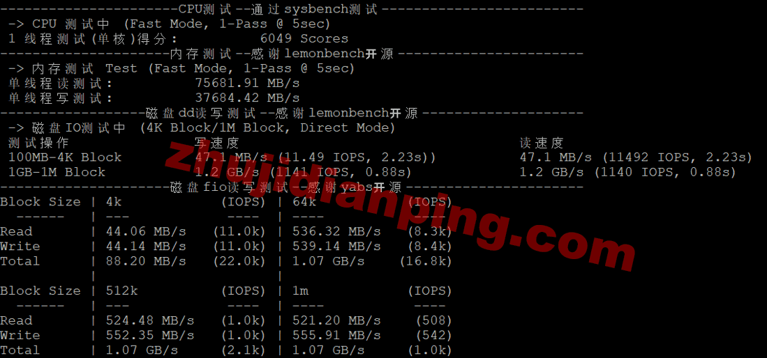 Saltyfish-荷兰VPS-cpu内存硬盘dd读写测试