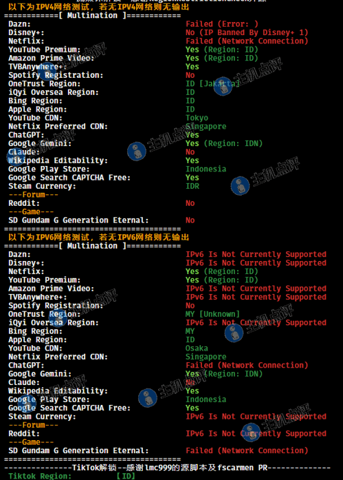 益沃斯-印尼VPS-流媒体解锁测试