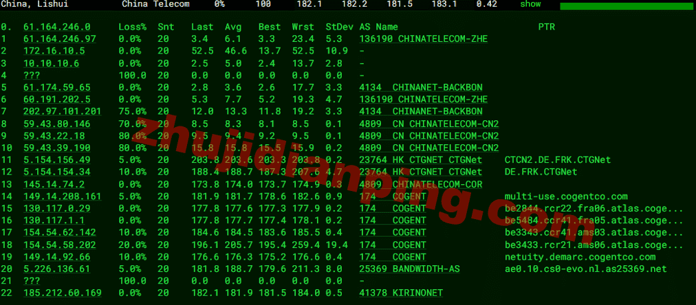 Saltyfish-荷兰VPS-电信去程