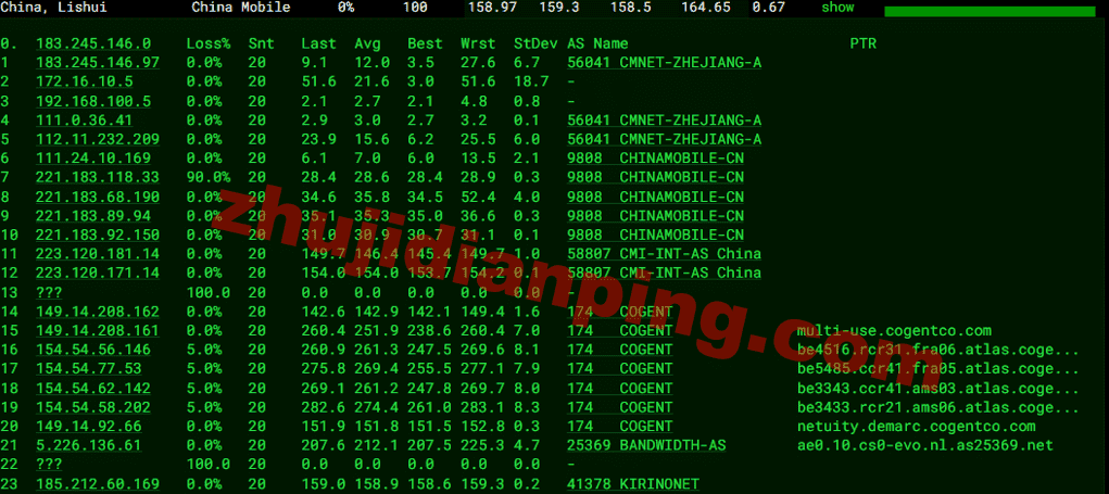 Saltyfish-荷兰VPS-移动去程