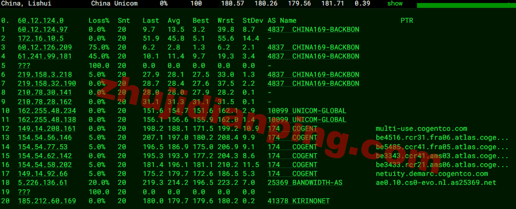 Saltyfish-荷兰VPS-联通去程