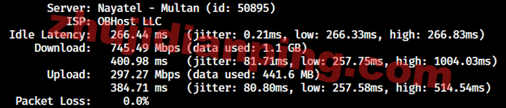 Bitsflow好不好?凤凰城VPS测评 - 主机点评 凤凰城VPS-speedtest上传下载测试
