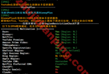 搬瓦工荷兰DC2机房测试记录-主机点评